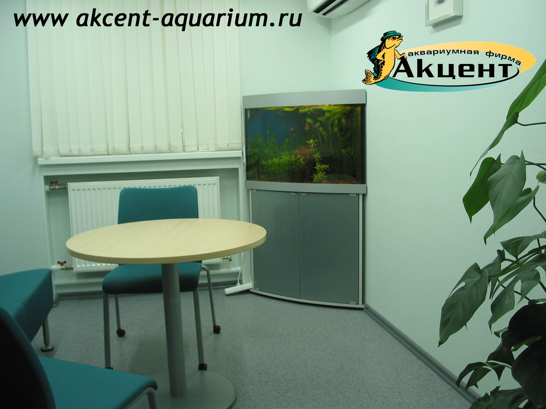 Акцент-аквариум, аквариум угловой 170 литров, с гнутым передним стеклом офис